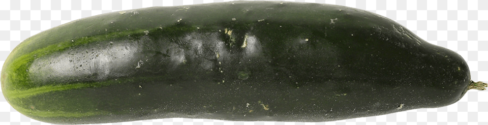 Cucumber, Food, Plant, Produce, Vegetable Png