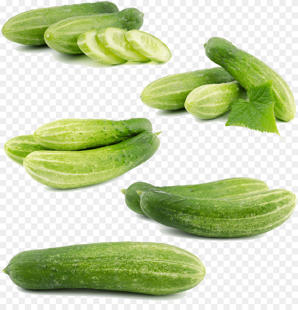 Cucumber, Food, Plant, Produce, Vegetable Png Image