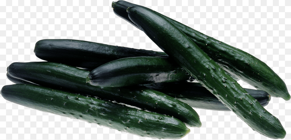 Cucumber, Food, Plant, Produce, Vegetable Png Image