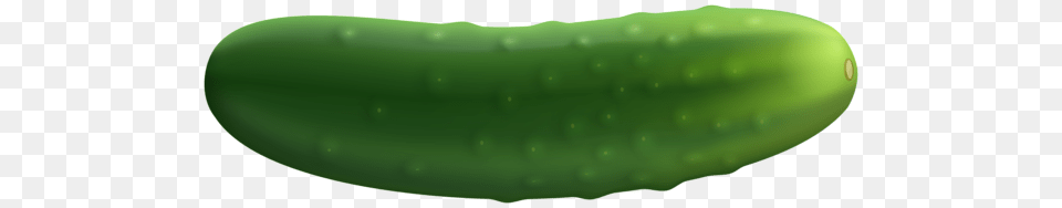 Cucumber, Food, Plant, Produce, Vegetable Png