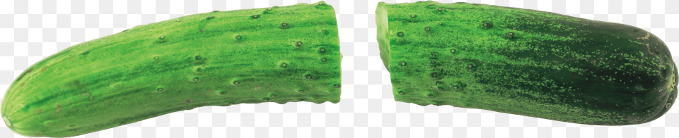 Cucumber, Food, Plant, Produce, Vegetable Png Image