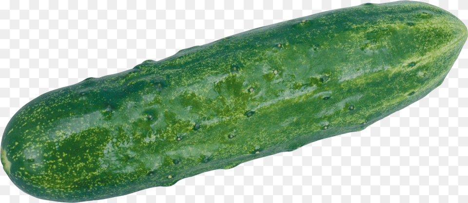 Cucumber Free Transparent Png