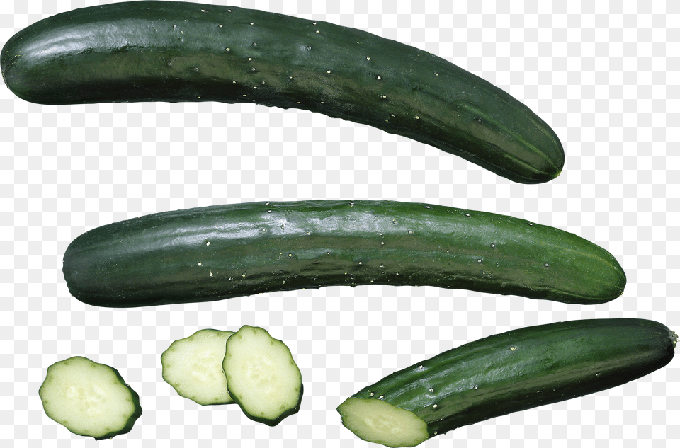 Cucumber, Food, Plant, Produce, Vegetable Free Transparent Png