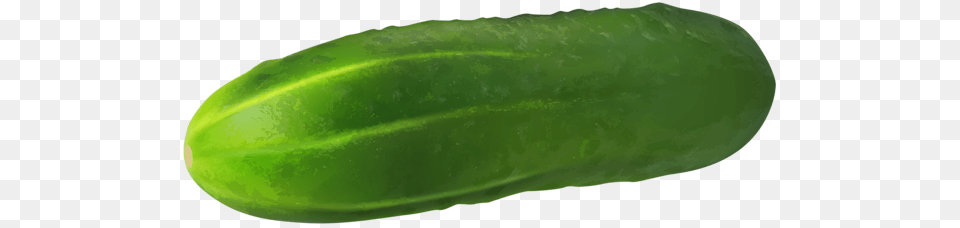 Cucumber, Food, Plant, Produce, Vegetable Png