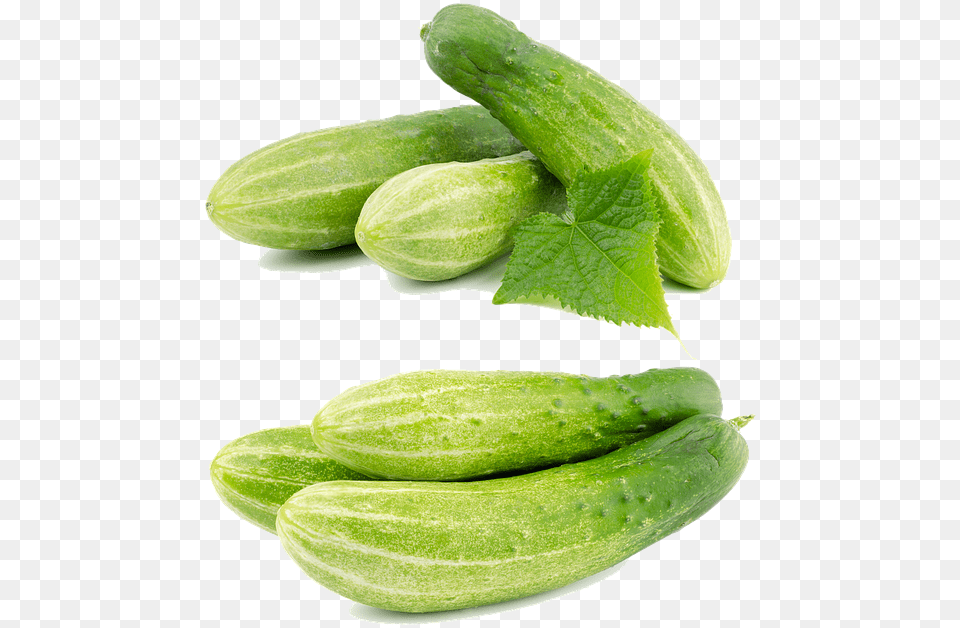 Cucumber, Food, Plant, Produce, Vegetable Free Png Download