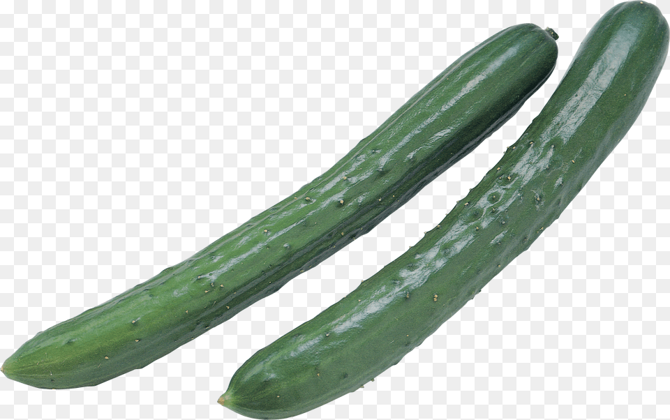 Cucumber, Food, Plant, Produce, Vegetable Free Transparent Png