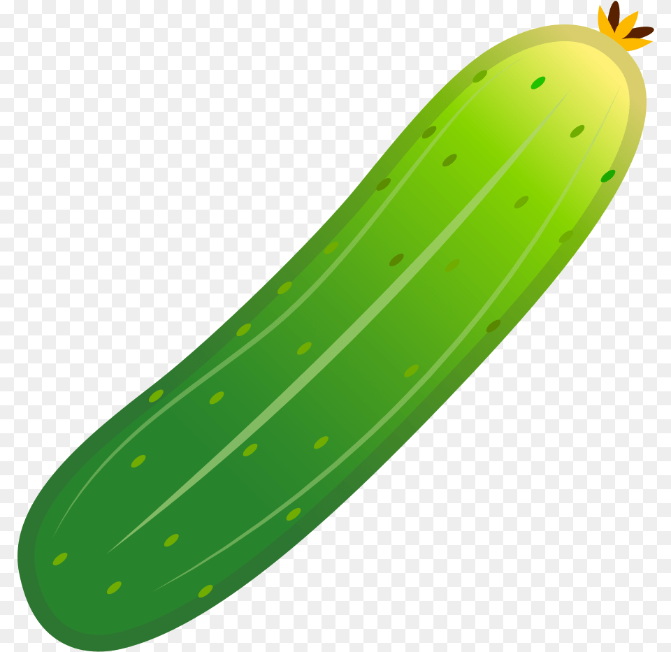 Cucumber, Food, Plant, Produce, Vegetable Free Png