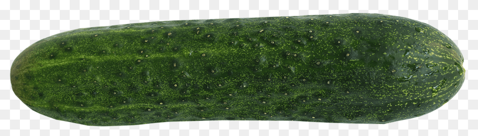 Cucumber Food, Plant, Produce, Vegetable Png