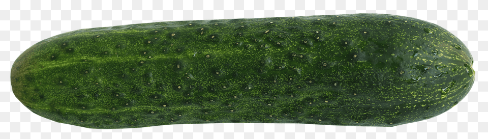 Cucumber Food, Plant, Produce, Vegetable Free Transparent Png