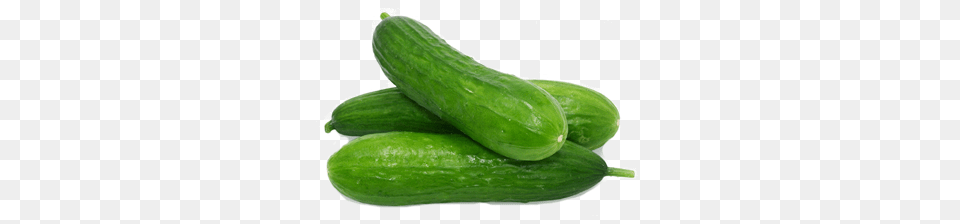 Cucumber, Food, Plant, Produce, Vegetable Png