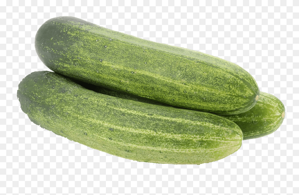 Cucumber, Food, Plant, Produce, Vegetable Free Transparent Png