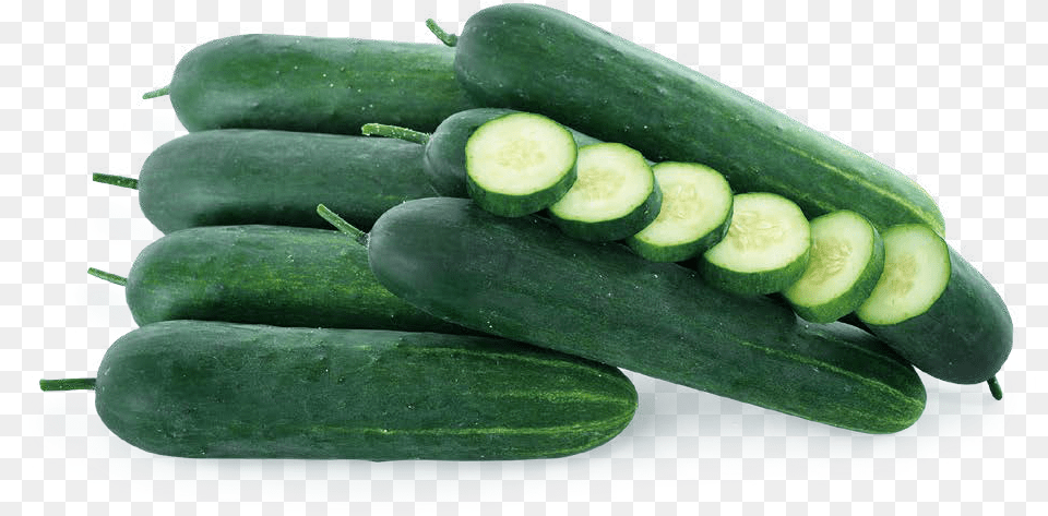 Cucumber, Food, Plant, Produce, Vegetable Free Png