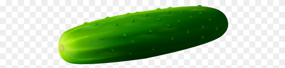 Cucumber, Food, Plant, Produce, Vegetable Png Image