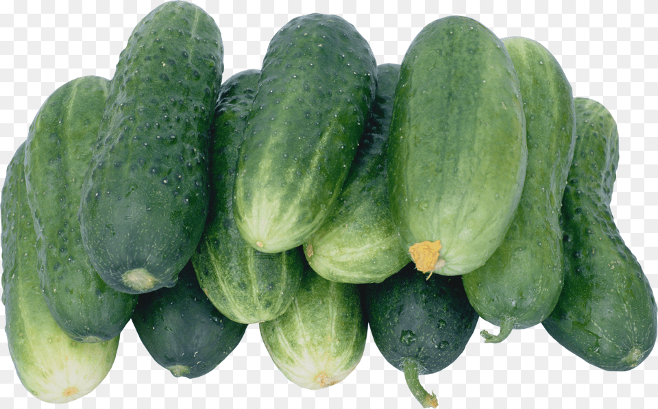 Cucumber Png Image