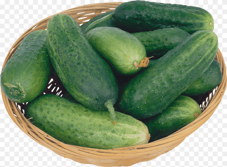 Cucumber Free Png Download
