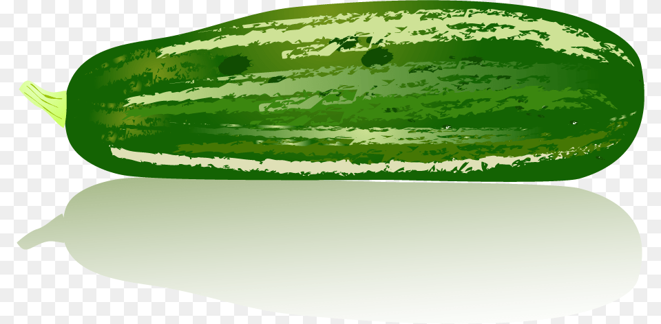 Cucumber, Food, Plant, Produce, Vegetable Free Png