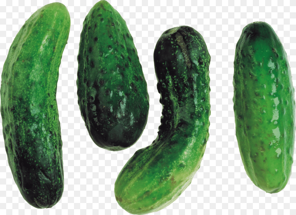 Cucumber Free Transparent Png