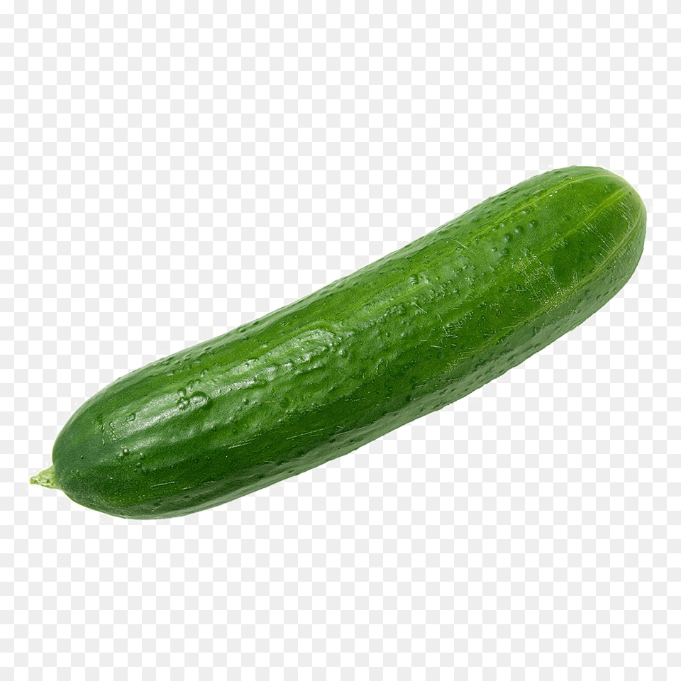 Cucumber, Food, Plant, Produce, Vegetable Free Png