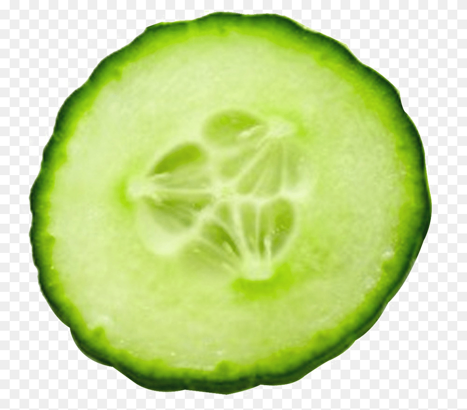 Cucumber, Food, Plant, Produce, Vegetable Png Image