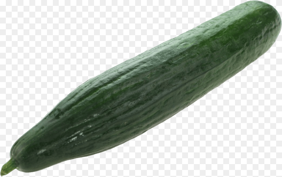 Cucumber, Food, Plant, Produce, Vegetable Free Png Download