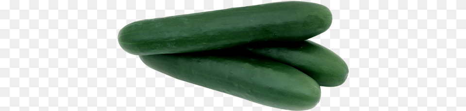 Cucumber, Food, Plant, Produce, Vegetable Png Image