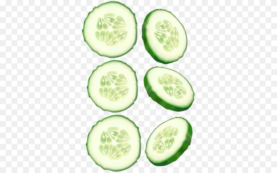 Cucumber, Food, Plant, Produce, Vegetable Free Transparent Png