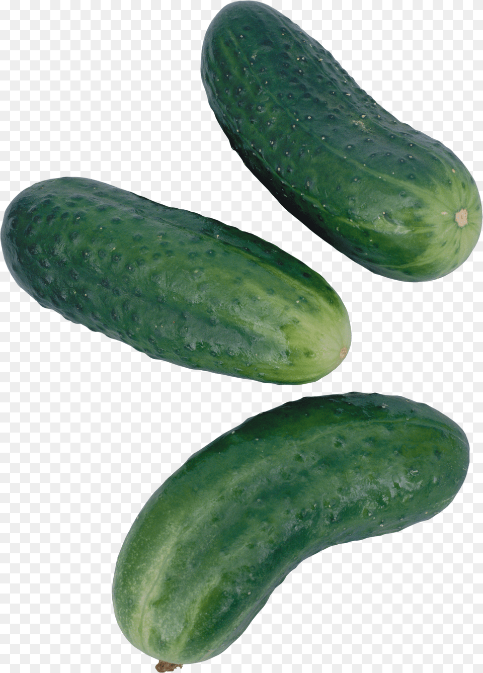 Cucumber Free Png