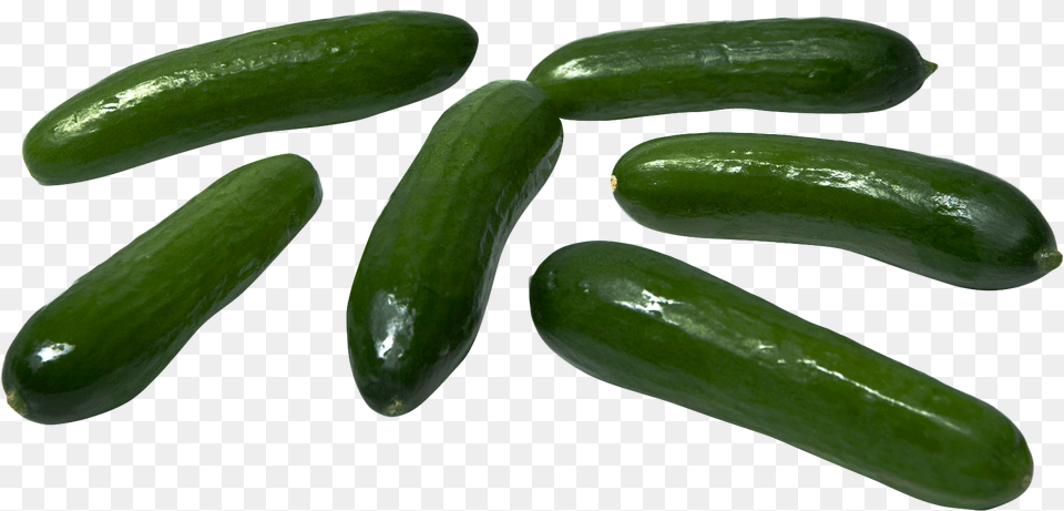 Cucumber, Food, Plant, Produce, Vegetable Png