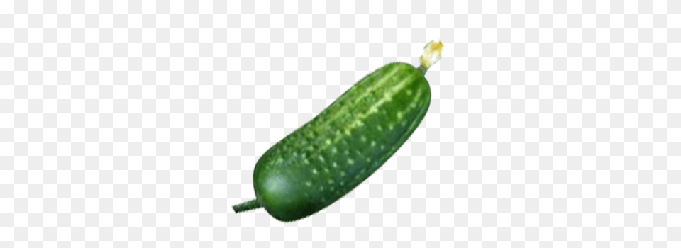 Cucumber, Food, Plant, Produce, Vegetable Png