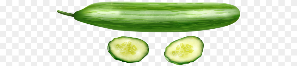 Cucumber, Food, Plant, Produce, Vegetable Free Png