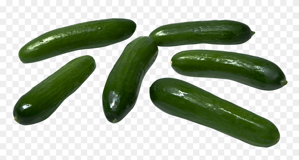 Cucumber, Food, Plant, Produce, Vegetable Free Png Download