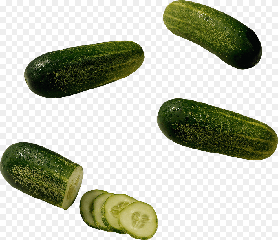 Cucumber, Food, Plant, Produce, Vegetable Png Image