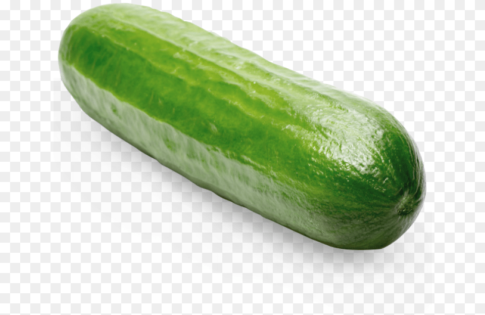 Cucumber, Food, Plant, Produce, Vegetable Free Png Download