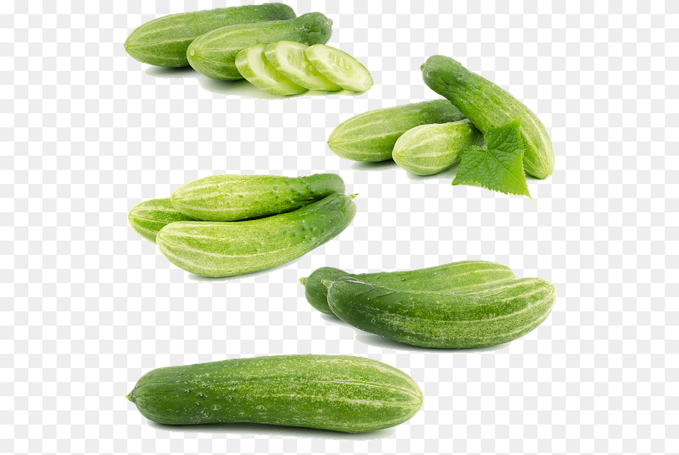 Cucumber, Food, Plant, Produce, Vegetable Png Image