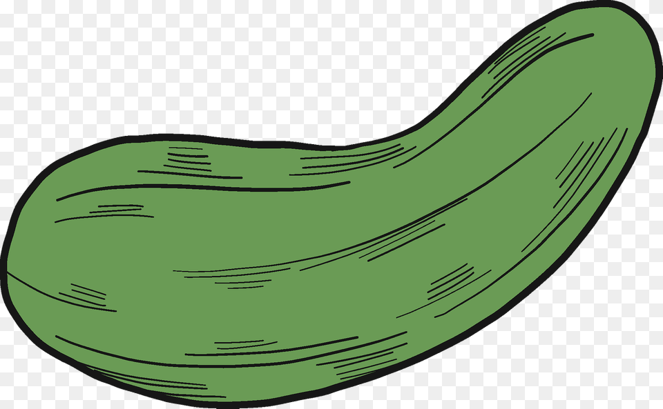 Cucumber Clipart, Food, Plant, Produce, Vegetable Png