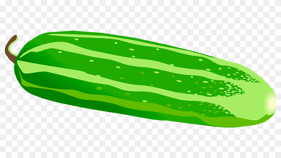 Cucumber Clipart, Food, Plant, Produce, Vegetable Png Image