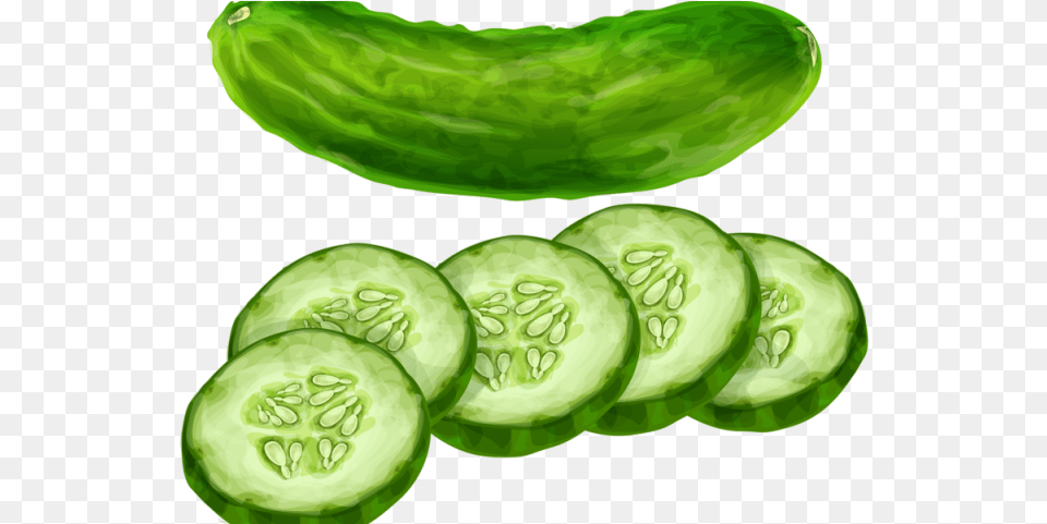 Cucumber Clipart, Food, Plant, Produce, Vegetable Free Transparent Png