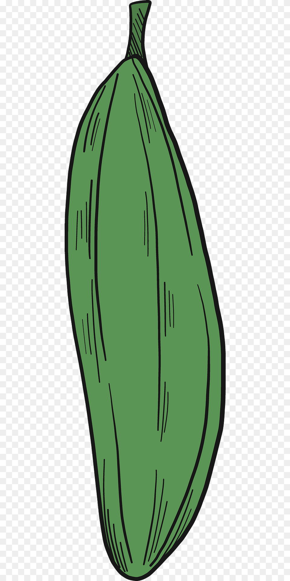 Cucumber Clipart, Food, Fruit, Plant, Produce Png