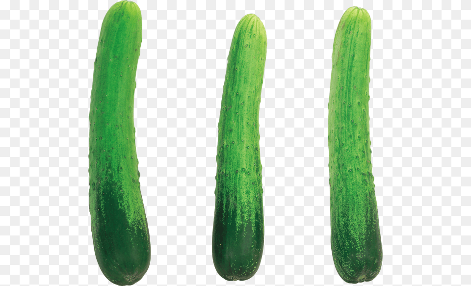 Cucumber Cucumber With No Background, Food, Plant, Produce, Vegetable Free Png Download