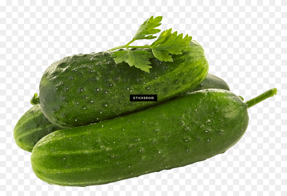 Cucumber Download Png Image