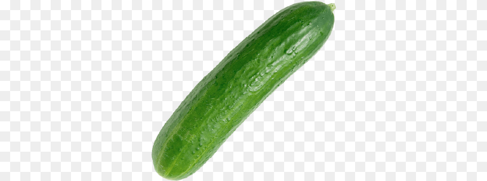 Cucumber English Zucchini, Food, Plant, Produce, Vegetable Free Transparent Png