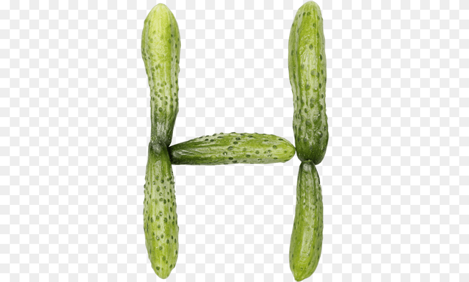 Cucumber Font Cucumber, Food, Plant, Produce, Vegetable Free Png