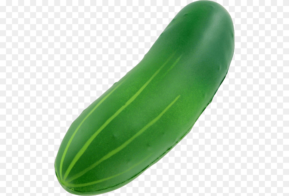 Cucumber Download, Food, Plant, Produce, Vegetable Free Png