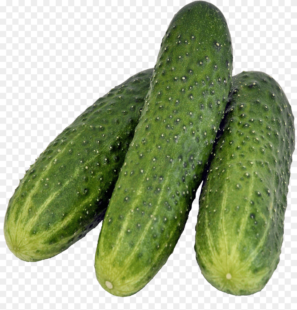 Cucumber Gherkins Png