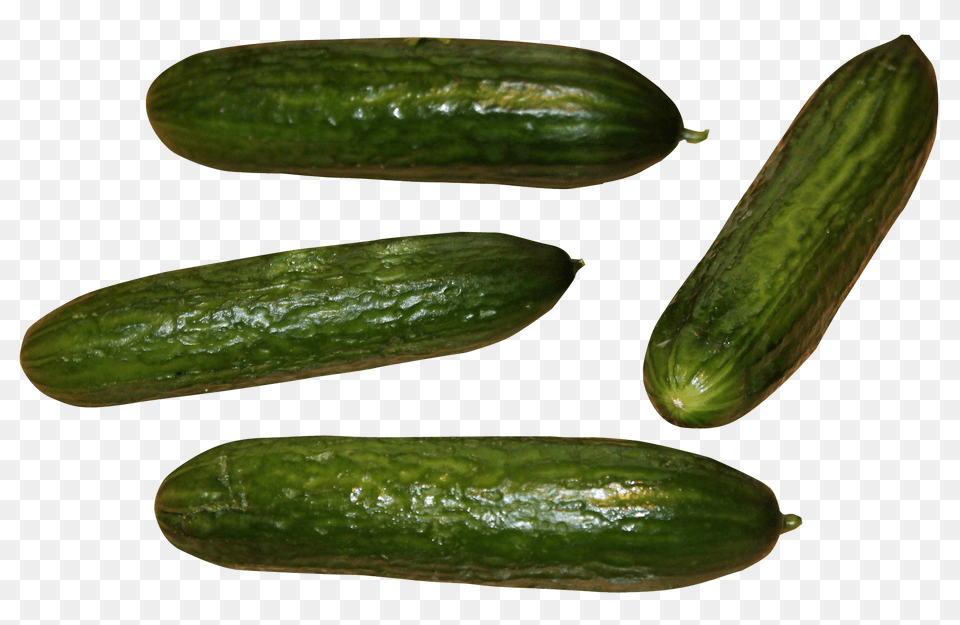 Cucumber Food, Plant, Produce, Vegetable Png Image