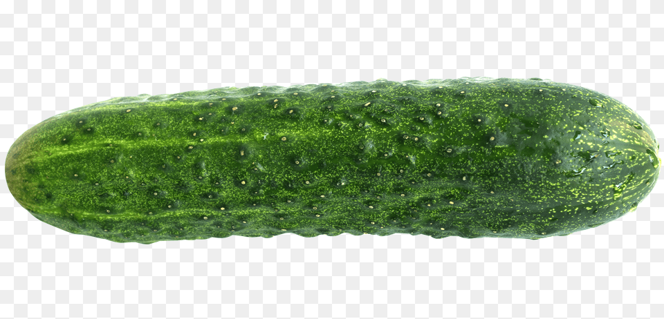 Cucumber Image, Food, Plant, Produce, Vegetable Png