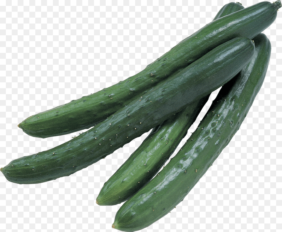 Cucumber Food, Plant, Produce, Vegetable Png Image