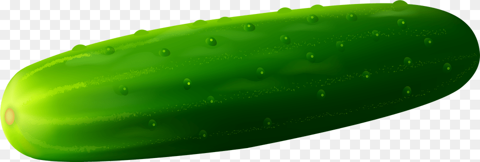 Cucumber Image For Download Clipart Cucumber, Food, Plant, Produce, Vegetable Free Png