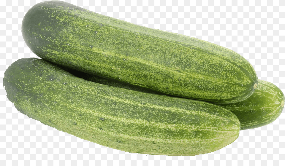 Cucumber Kheera Kakdi, Food, Plant, Produce, Vegetable Png Image