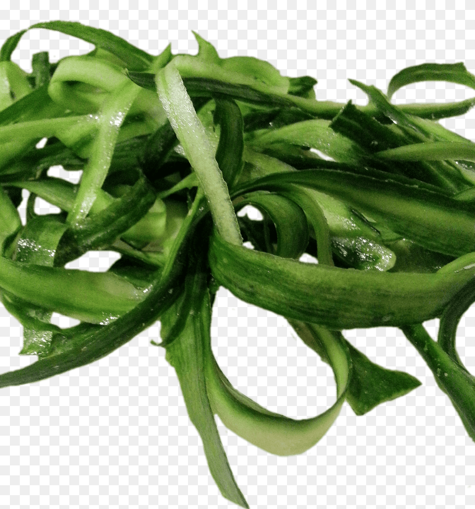 Cucumber Peels, Plant, Food, Produce, Leaf Free Transparent Png